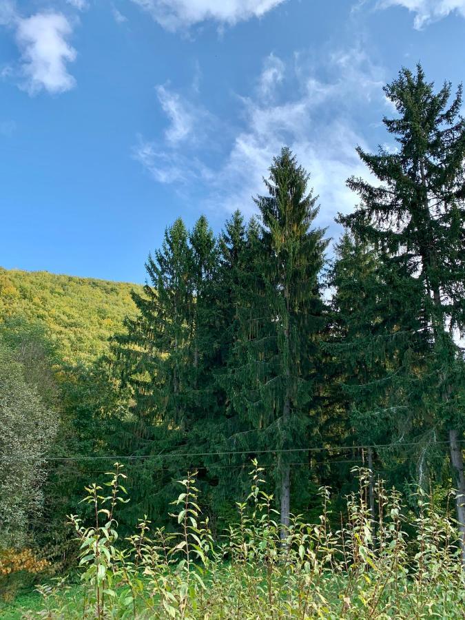 Grand Spa Holiday Home II Sklene Teplice Bagian luar foto
