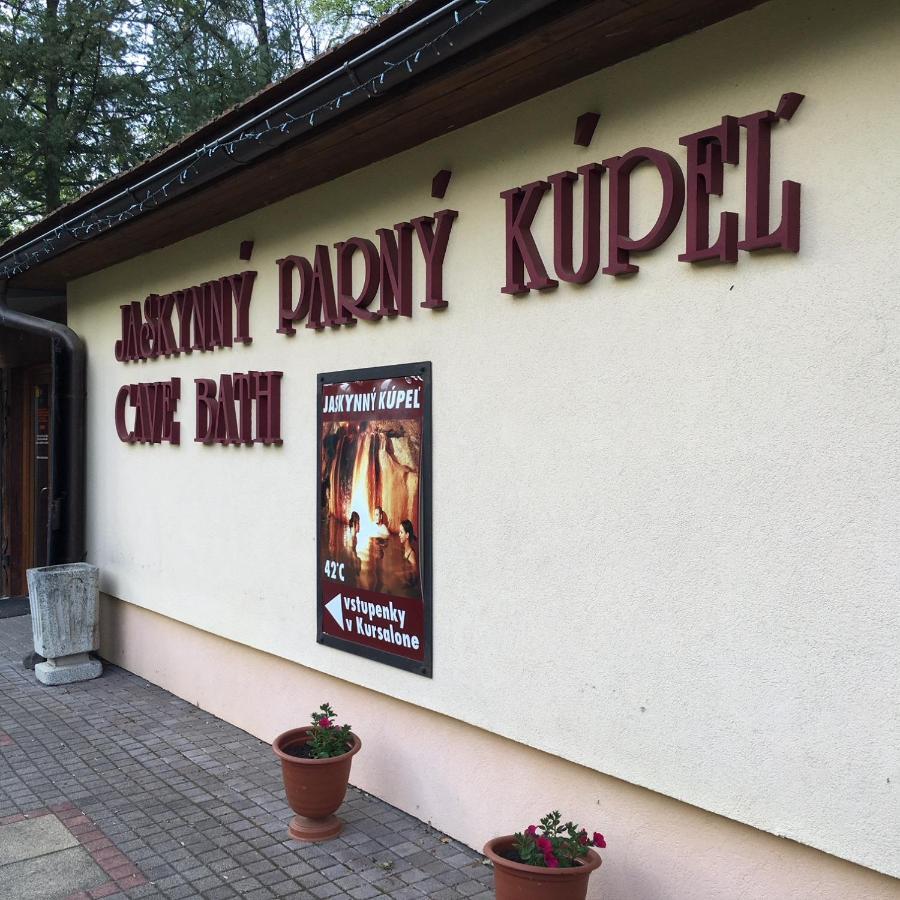 Grand Spa Holiday Home II Sklene Teplice Bagian luar foto